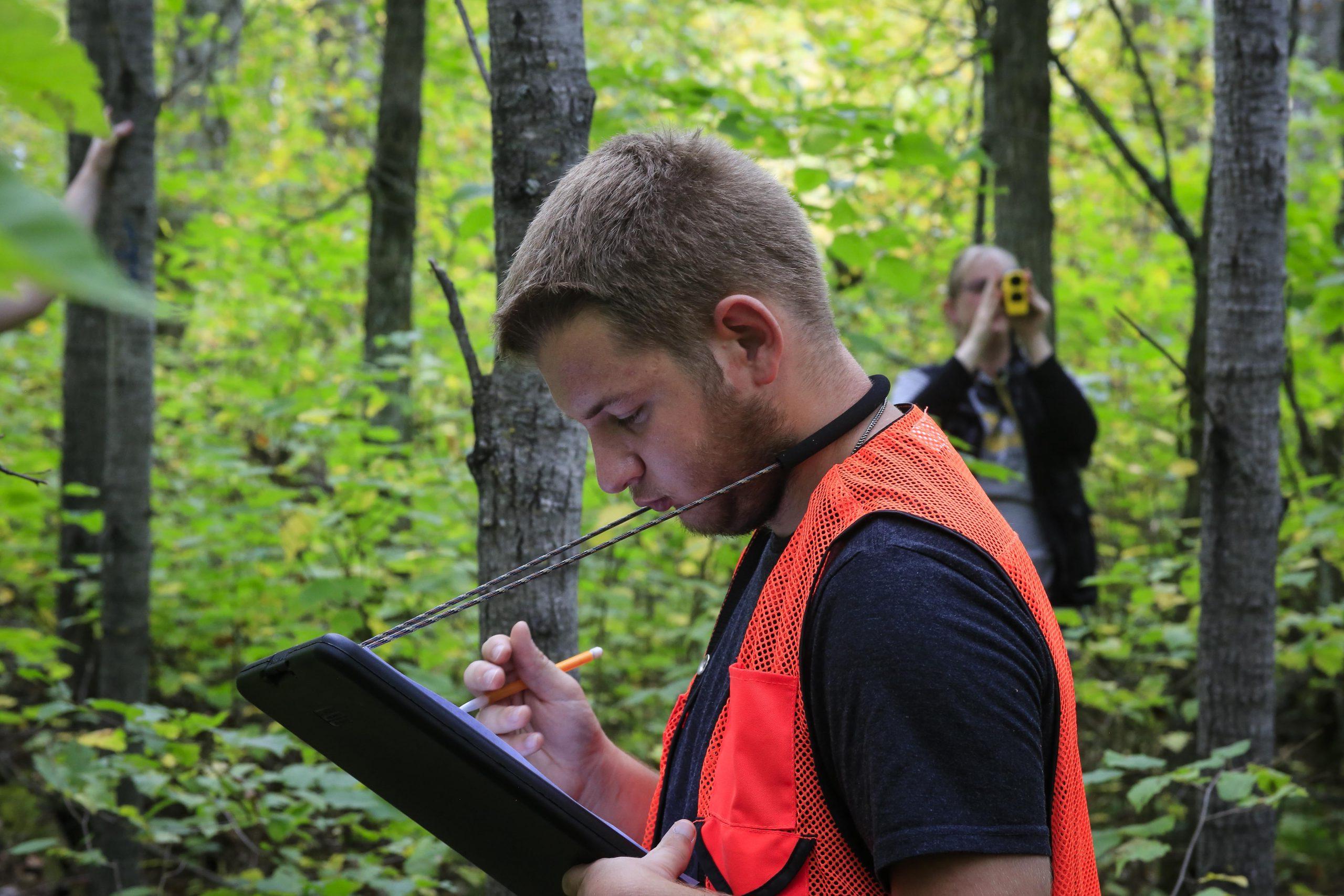 hobson forest sampling